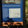 Tourist sign introducing Darug country, near Parramatta public wharf